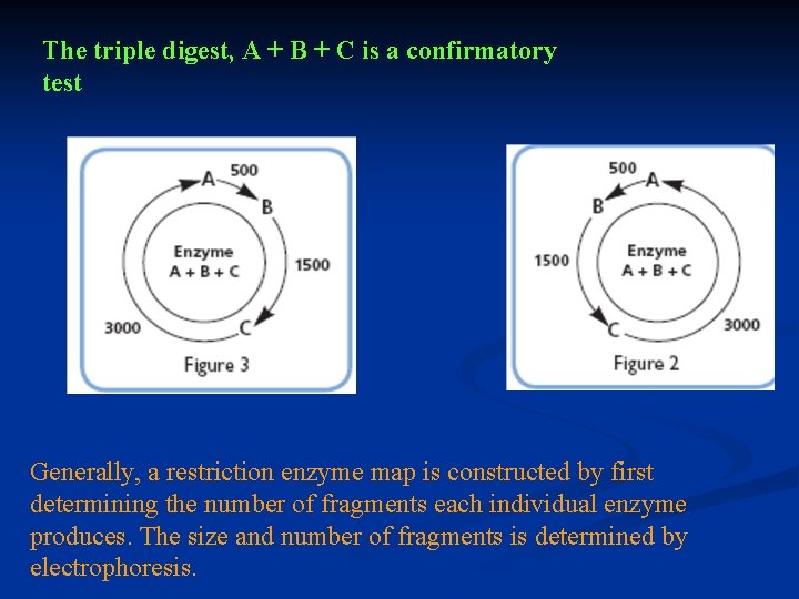 The triple digest, A + B + C is a confirmatory test Generally, a