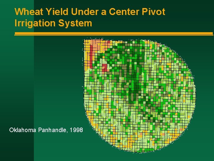 Wheat Yield Under a Center Pivot Irrigation System Oklahoma Panhandle, 1998 