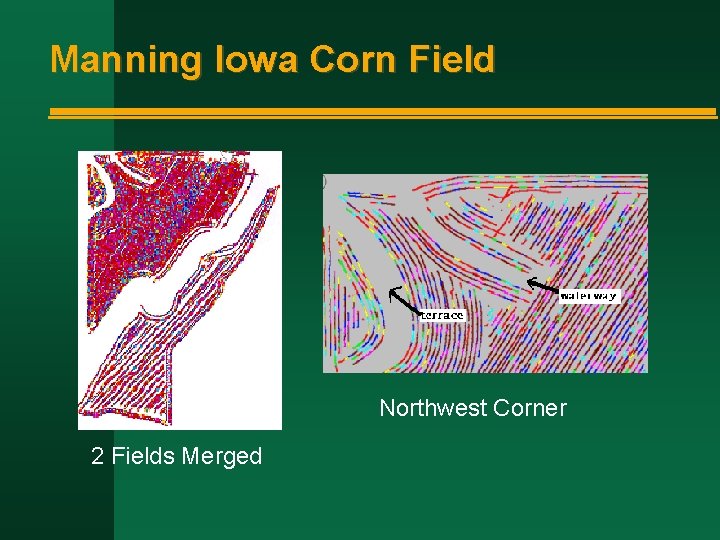 Manning Iowa Corn Field Northwest Corner 2 Fields Merged 