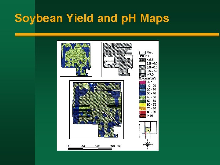 Soybean Yield and p. H Maps 