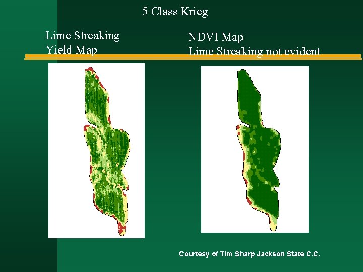 5 Class Krieg Lime Streaking Yield Map NDVI Map Lime Streaking not evident Courtesy