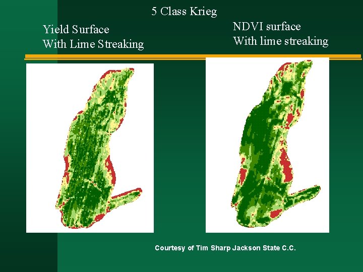 5 Class Krieg Yield Surface With Lime Streaking NDVI surface With lime streaking Courtesy 5 Class Krieg Yield Surface With Lime Streaking NDVI surface With lime streaking Courtesy