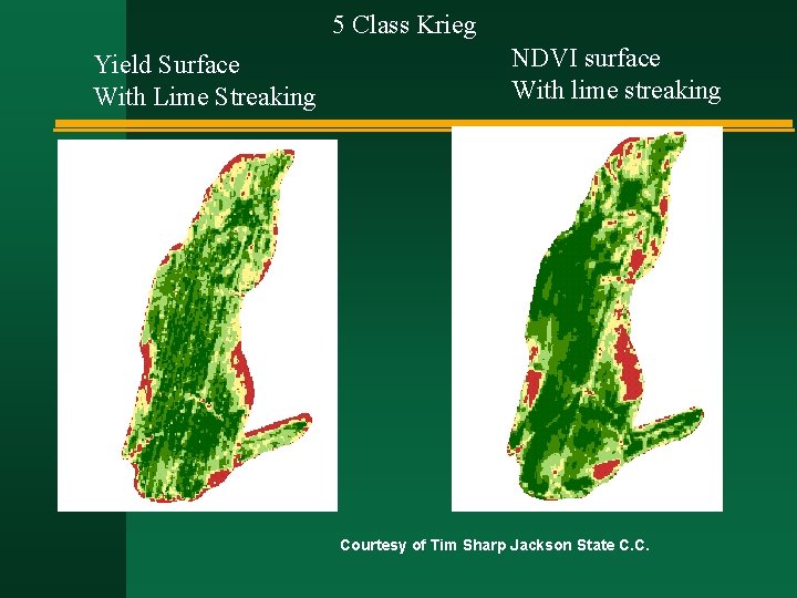 5 Class Krieg Yield Surface With Lime Streaking NDVI surface With lime streaking Courtesy