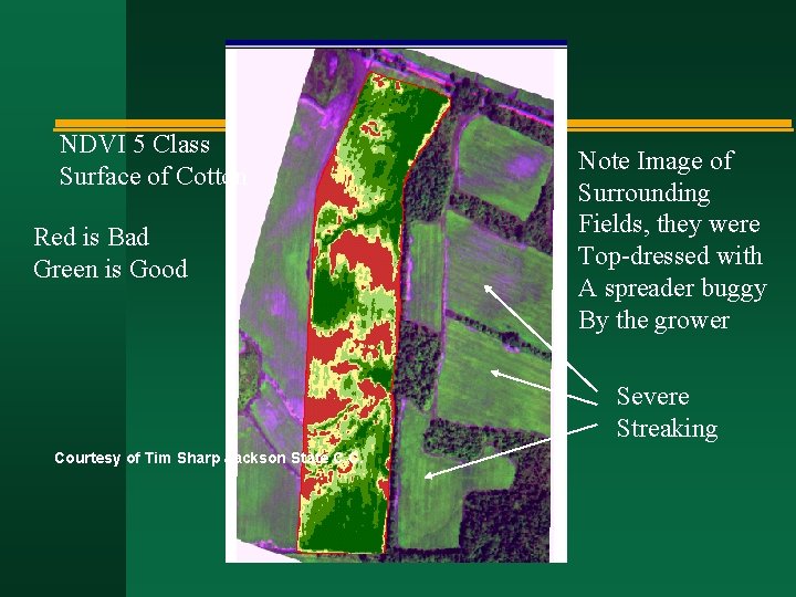 NDVI 5 Class Surface of Cotton Red is Bad Green is Good Note Image