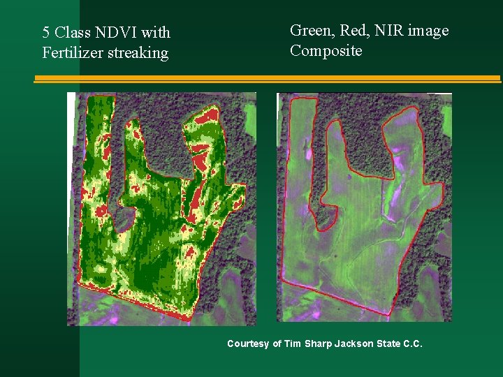 5 Class NDVI with Fertilizer streaking Green, Red, NIR image Composite Courtesy of Tim 5 Class NDVI with Fertilizer streaking Green, Red, NIR image Composite Courtesy of Tim