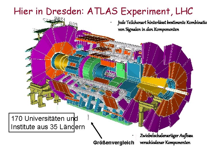 Hier in Dresden: ATLAS Experiment, LHC • Jede Teilchenart hinterlässt bestimmte Kombinatio von Signalen