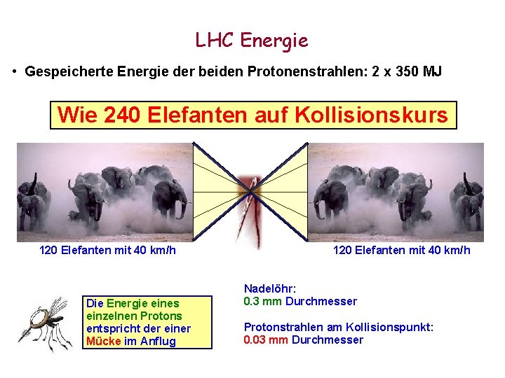 LHC Energie • Gespeicherte Energie der beiden Protonenstrahlen: 2 x 350 MJ Wie 240