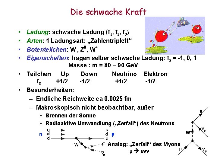 Die schwache Kraft • • Ladung: schwache Ladung (I 1, I 2, I 3)