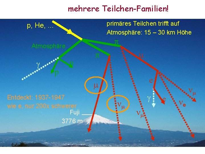 mehrere Teilchen-Familien! primäres Teilchen trifft auf Atmosphäre: 15 – 30 km Höhe p, He,