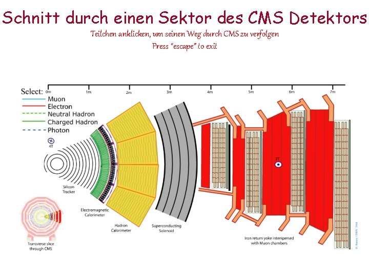 Schnitt durch einen Sektor des CMS Detektors Teilchen anklicken, um seinen Weg durch CMS