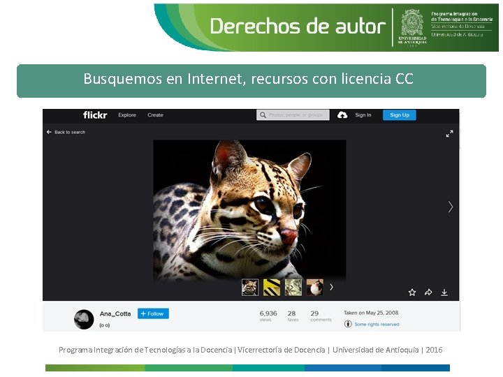 Busquemos en Internet, recursos con licencia CC Programa Integración de Tecnologías a la Docencia