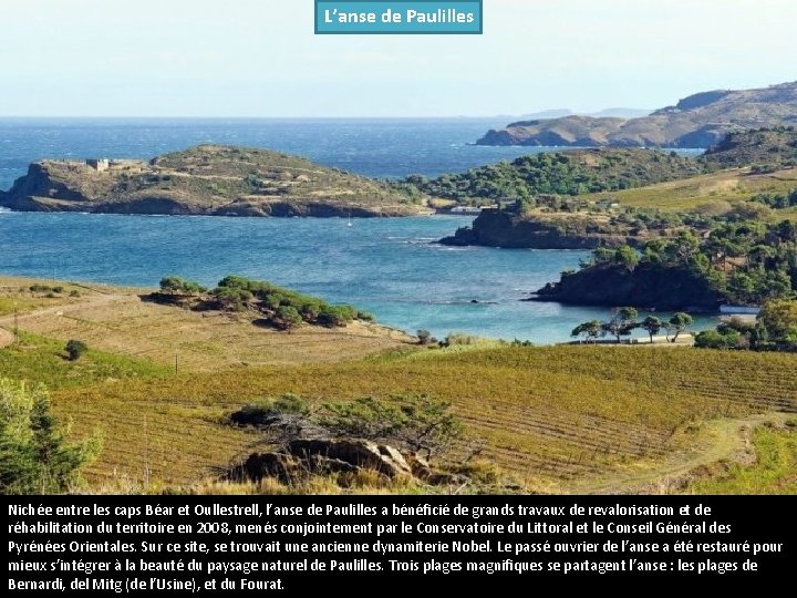 L’anse de Paulilles Nichée entre les caps Béar et Oullestrell, l’anse de Paulilles a