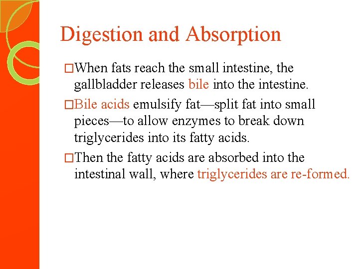 Digestion and Absorption �When fats reach the small intestine, the gallbladder releases bile into