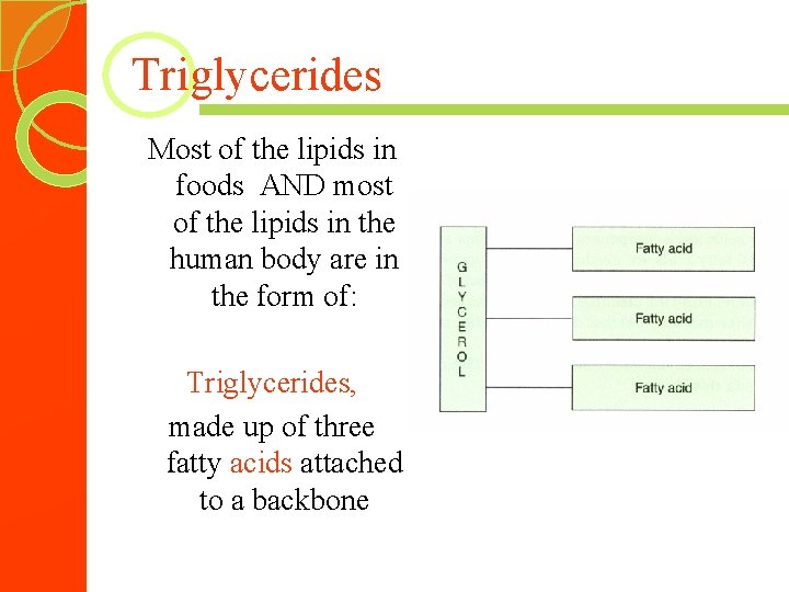 Triglycerides Most of the lipids in foods AND most of the lipids in the