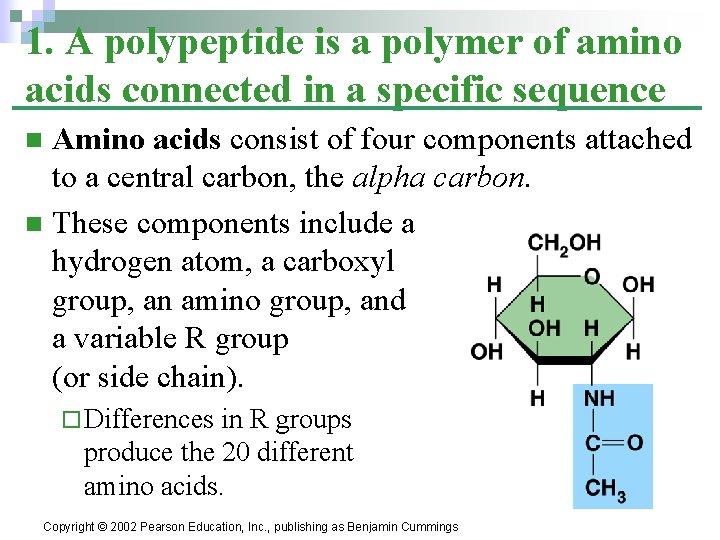 1. A polypeptide is a polymer of amino acids connected in a specific sequence