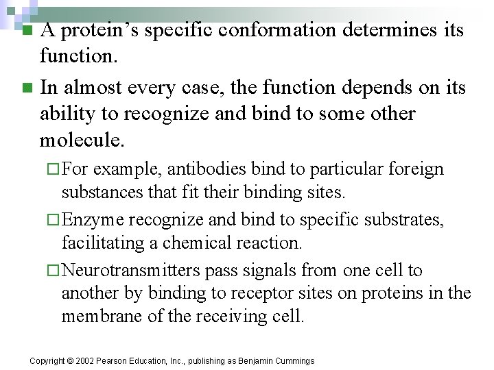 A protein’s specific conformation determines its function. n In almost every case, the function