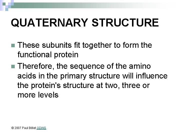 QUATERNARY STRUCTURE These subunits fit together to form the functional protein n Therefore, the