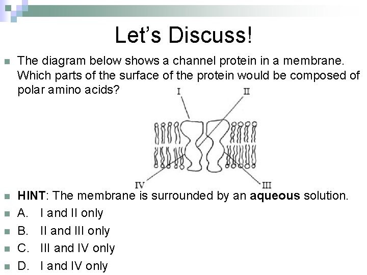 Let’s Discuss! n The diagram below shows a channel protein in a membrane. Which