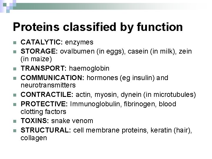 Proteins classified by function n n n n CATALYTIC: enzymes STORAGE: ovalbumen (in eggs),