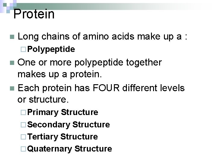 Protein n Long chains of amino acids make up a : ¨ Polypeptide One