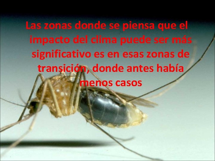 Las zonas donde se piensa que el impacto del clima puede ser más significativo