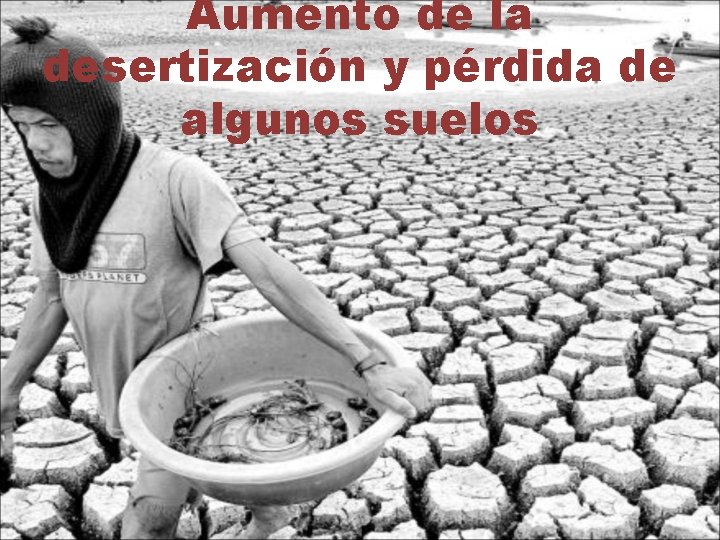 Aumento de la desertización y pérdida de algunos suelos 