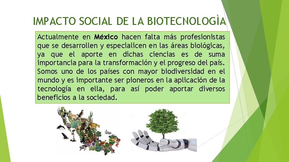 IMPACTO SOCIAL DE LA BIOTECNOLOGÌA Actualmente en México hacen falta más profesionistas que se
