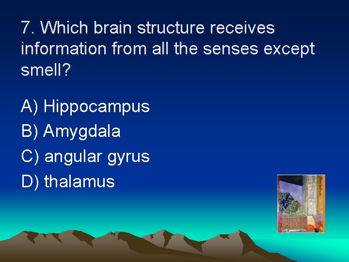 7. Which brain structure receives information from all the senses except smell? A) Hippocampus