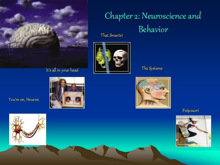 Chapter 2: Neuroscience and Behavior That Smarts! It’s all in your head The Systems