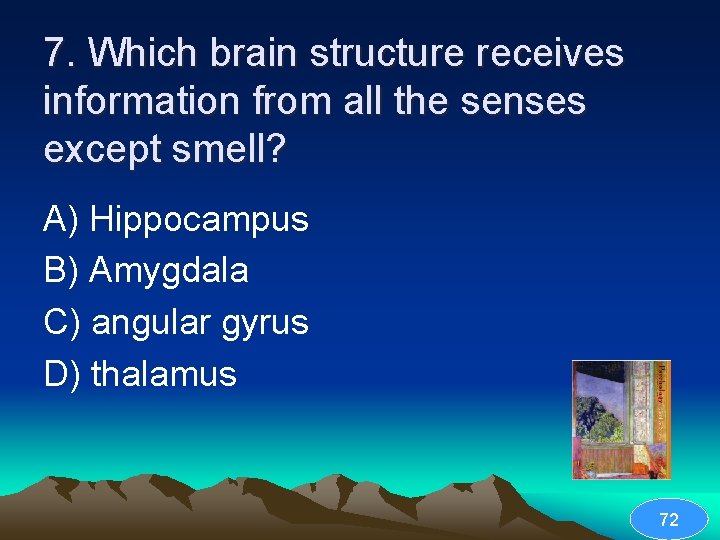 7. Which brain structure receives information from all the senses except smell? A) Hippocampus