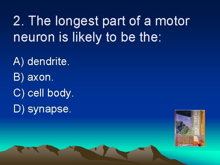 2. The longest part of a motor neuron is likely to be the: A)