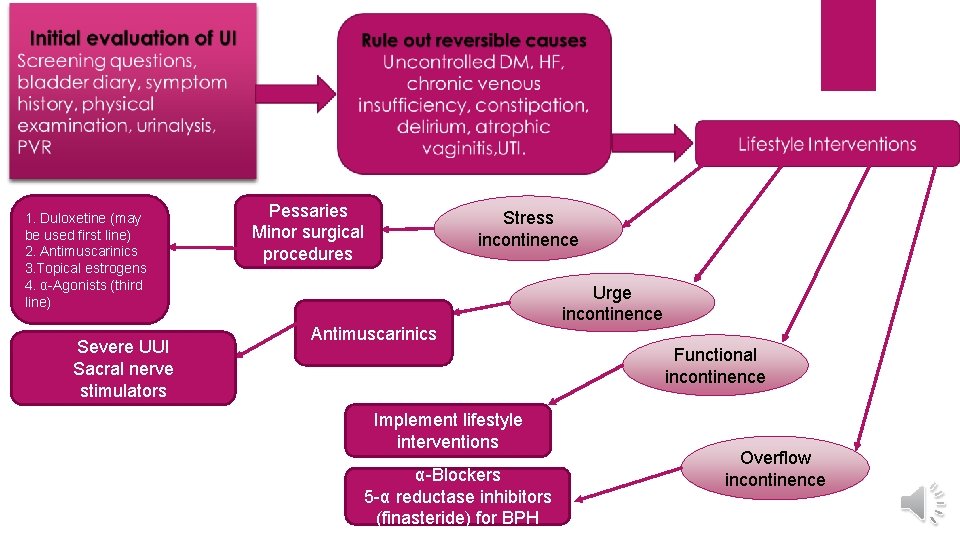 1. Duloxetine (may be used first line) 2. Antimuscarinics 3. Topical estrogens 4. α-Agonists