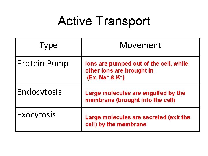 Active Transport Type Protein Pump Endocytosis Exocytosis Movement Ions are pumped out of the
