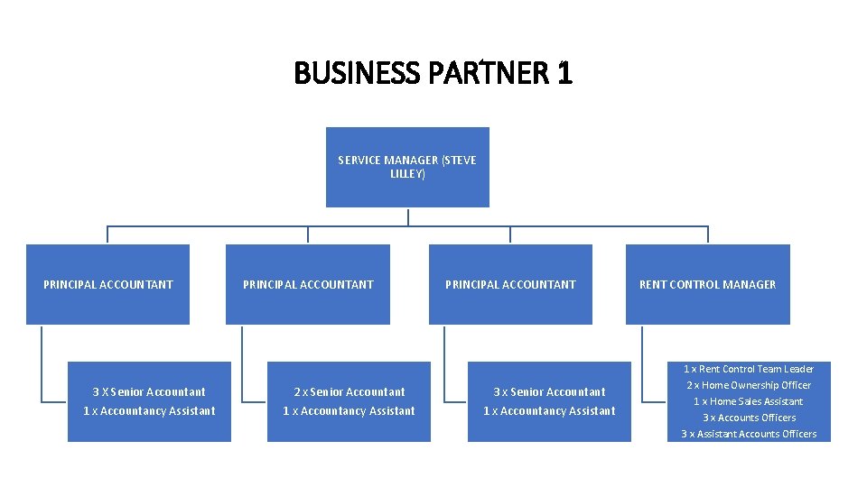 BUSINESS PARTNER 1 SERVICE MANAGER (STEVE LILLEY) PRINCIPAL ACCOUNTANT 3 X Senior Accountant 1