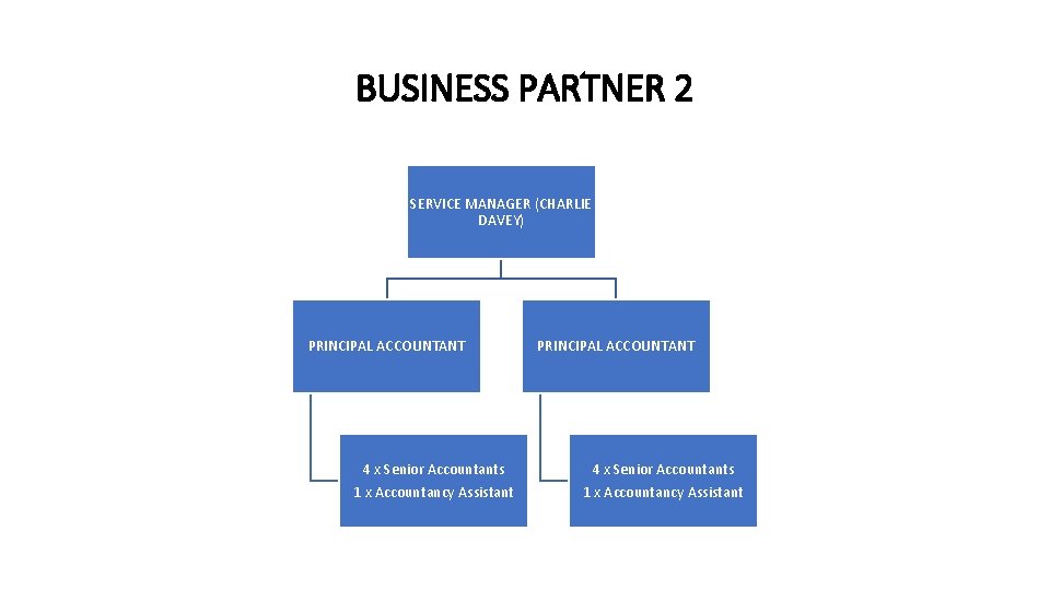 BUSINESS PARTNER 2 SERVICE MANAGER (CHARLIE DAVEY) PRINCIPAL ACCOUNTANT 4 x Senior Accountants 1