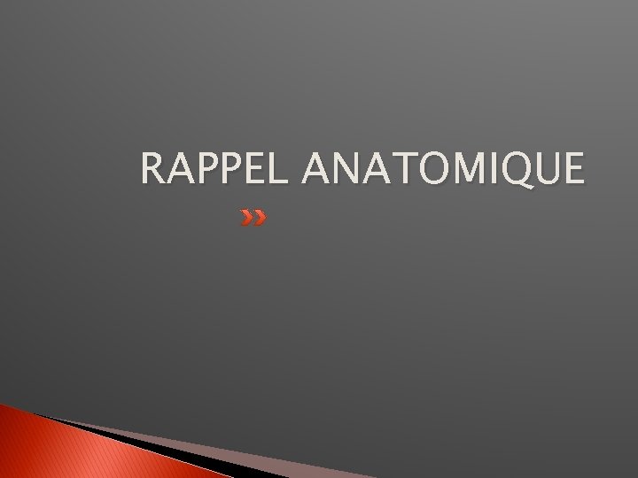 RAPPEL ANATOMIQUE 
