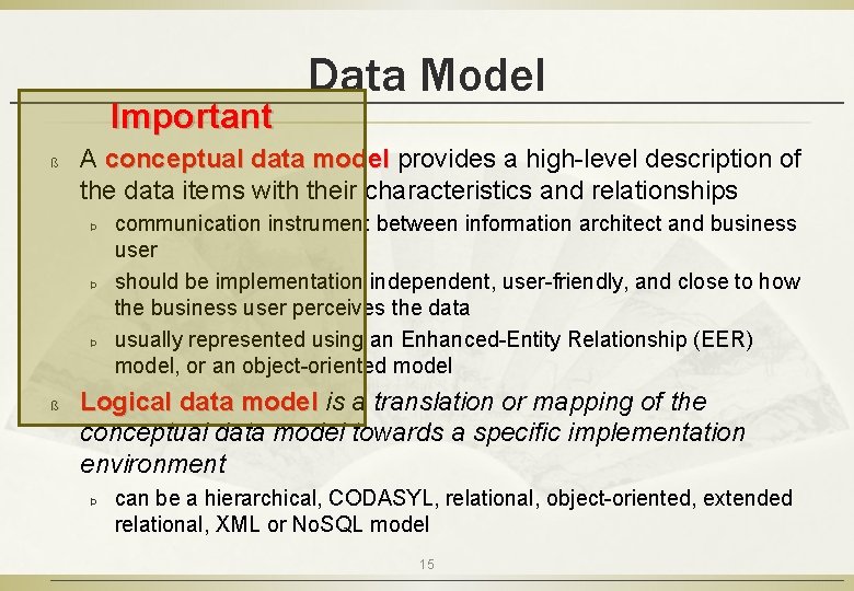 Important ß A conceptual data model provides a high-level description of the data items