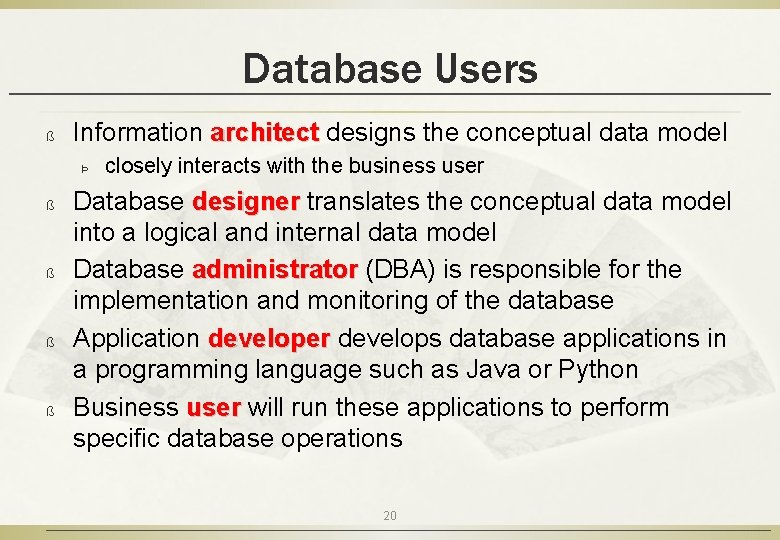 Database Users ß Information architect designs the conceptual data model Þ ß ß closely