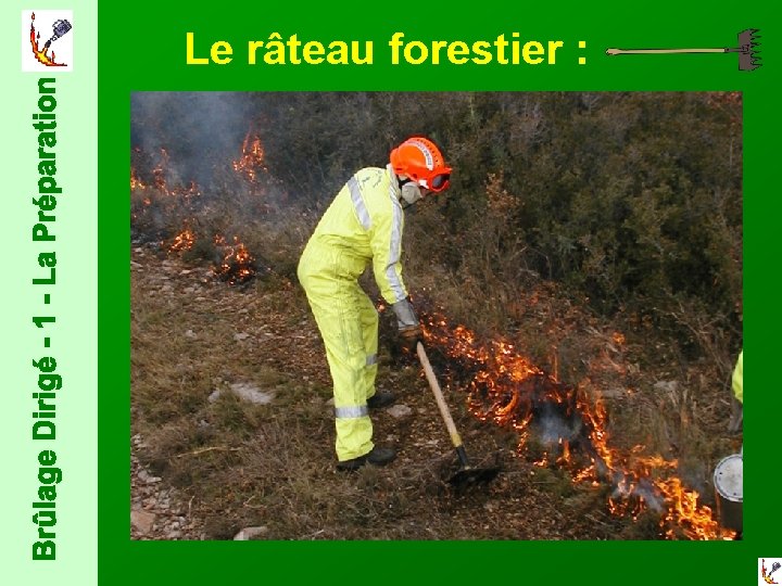  Le râteau forestier : 