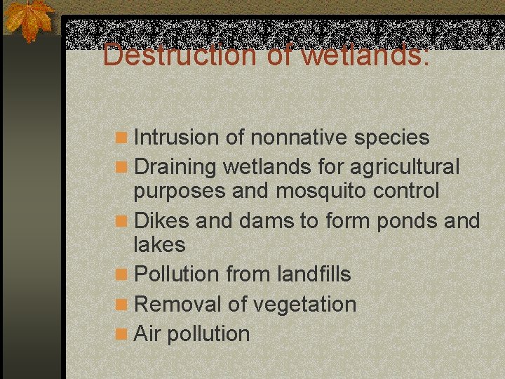 Destruction of wetlands: n Intrusion of nonnative species n Draining wetlands for agricultural purposes