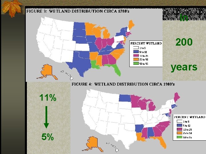 In 200 years 11% 5% 