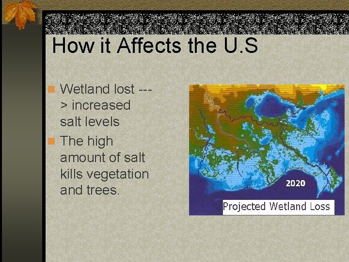 How it Affects the U. S n Wetland lost --- > increased salt levels