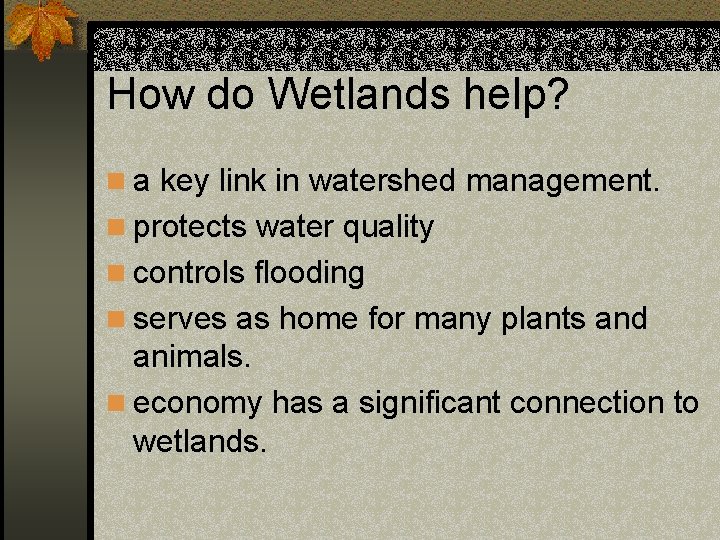 How do Wetlands help? n a key link in watershed management. n protects water