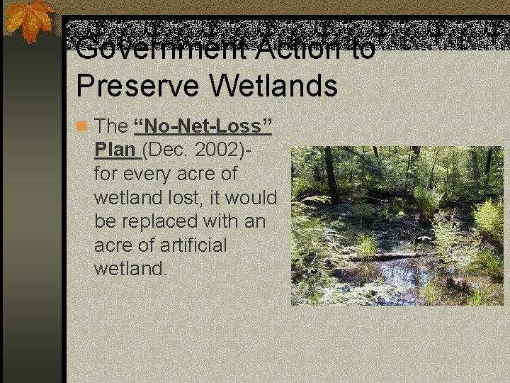 Government Action to Preserve Wetlands n The “No-Net-Loss” Plan (Dec. 2002)for every acre of