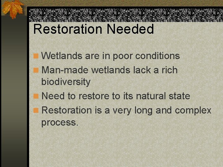 Restoration Needed n Wetlands are in poor conditions n Man-made wetlands lack a rich
