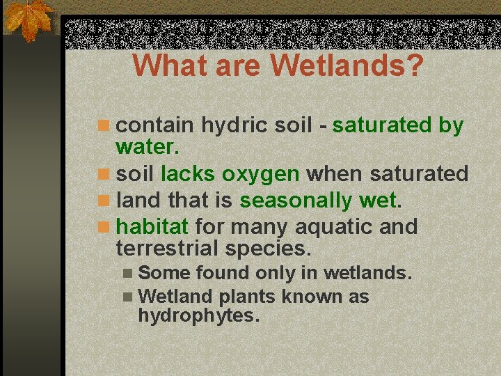 What are Wetlands? n contain hydric soil - saturated by water. n soil lacks