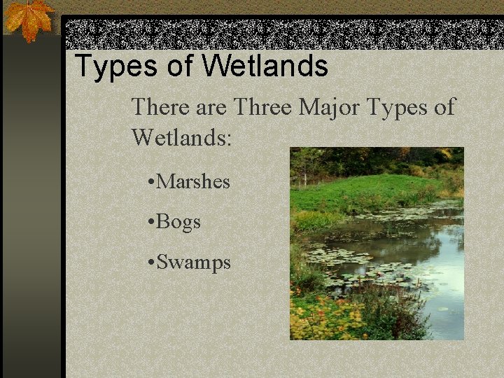 Types of Wetlands There are Three Major Types of Wetlands: • Marshes • Bogs