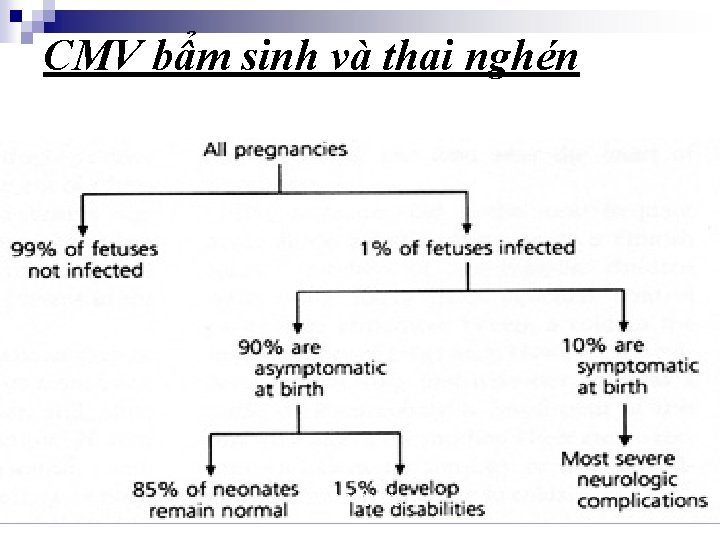 CMV bẩm sinh và thai nghén www. aafp. org 