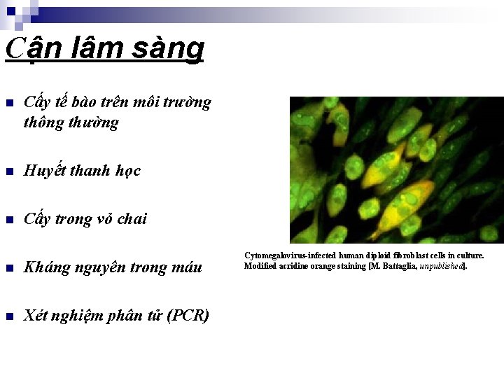 Cận lâm sàng n Cấy tế bào trên môi trường thông thường n Huyết