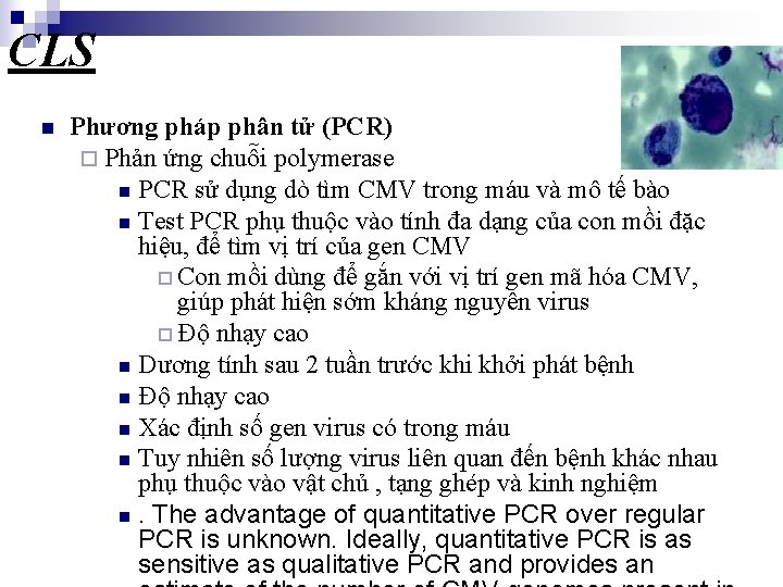 CLS n Phương pháp phân tử (PCR) ¨ Phản ứng chuỗi polymerase n PCR